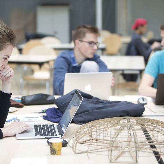 Les stages et le projet de fin d'études
